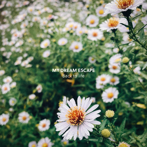 欧美残忍捆绑tickle网站
