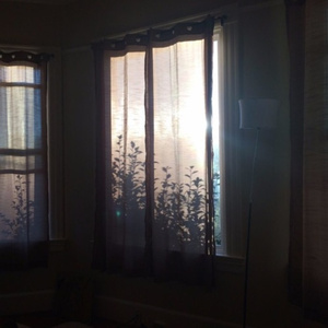 欧美残忍捆绑tickle网站
