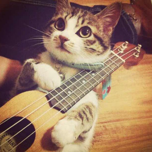 欧美残忍捆绑tickle网站
